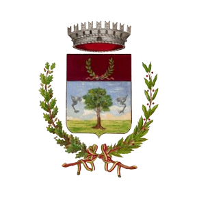 Comune di Cesate - Servizi Comunali SpA