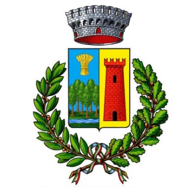 Comune di Boltiere - Servizi Comunali SpA