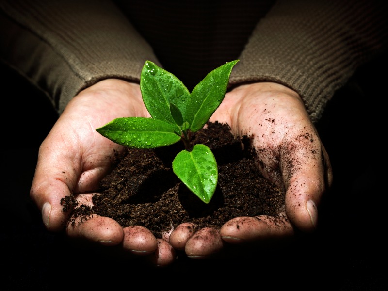 Il compostaggio e il rifiuto organico - Servizi Comunali SpA
