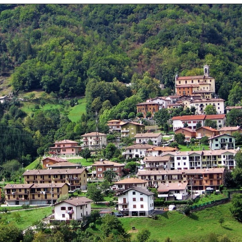 Comune di Camerata Cornello - Servizi Comunali SpA