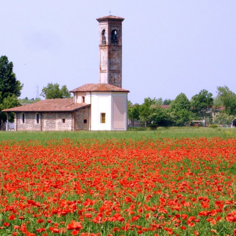 Comune di Zanica - Servizi Comunali SpA