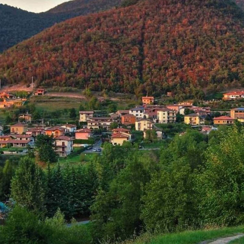 Comune di Viadanica - Servizi Comunali SpA